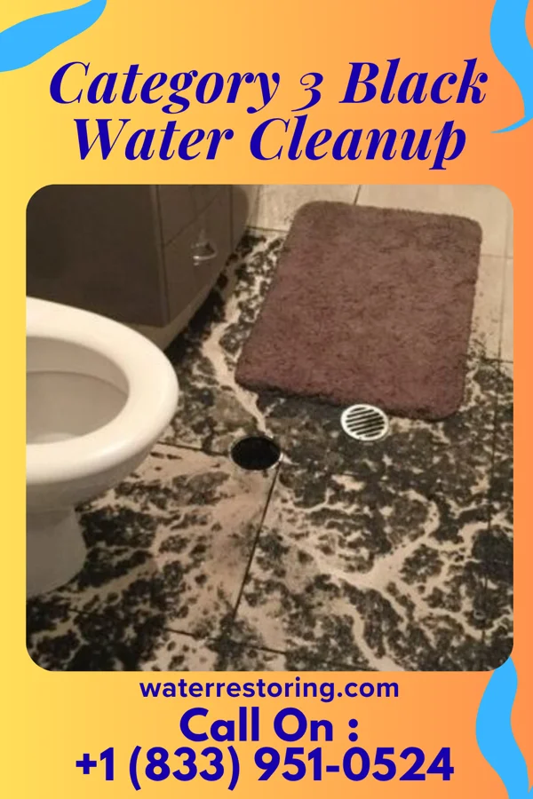 Category 3 Black Water Cleanup in Swede Heaven, WA