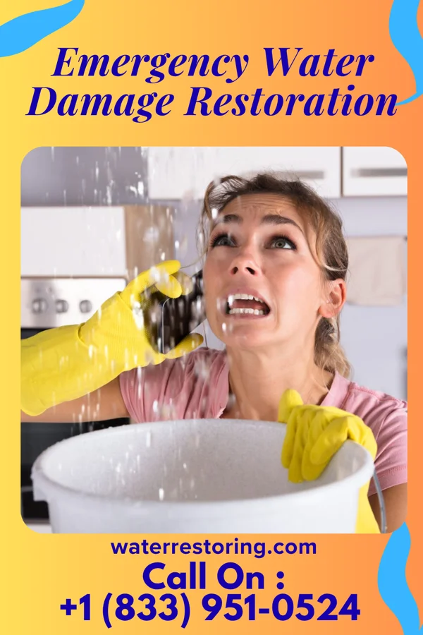 Emergency Water Damage Restoration in Swede Heaven, WA